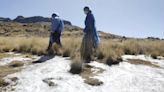 Heladas en la sierra sur: localidad puneña de Mazocruz soportó -15.2 °C