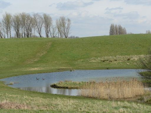 Body of teenage boy recovered from Mitcham Common pond