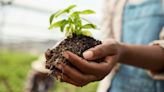 USDA to Provide $33M for Agriculture Projects at 19 HBCU Land-Grant Institutions