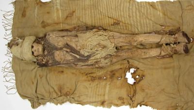 World's Oldest Cheese Found On 3600-Year-Old Chinese Mummies