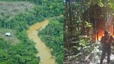 Alerta sobre deforestación en áreas protegidas y territorios indígenas: 14 mil 757 hectáreas cultivadas con coca
