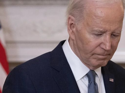 Biden recomienda a Israel que ignore la presión y respalde el plan de paz