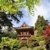 Japanese Tea Garden (San Francisco)