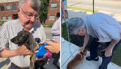 Woman takes grandpa to special dachshund meet-up—his reaction is everything