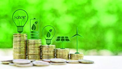 Economic Survey 2024: SGB framework rated as 'medium green' with good governance score by CICERO - ET BFSI