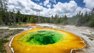 Yellowstone tourists accused of ruining Morning Glory’s crystal blue color with ‘thousands’ of coins