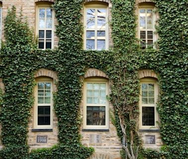 These universities may be the 'new ivy' league schools, Forbes says, and several are in the Midwest