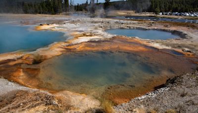 Visitors Flee After ‘Hydrothermal Explosion’ at Yellowstone