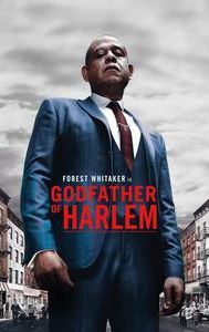 FREE MGM+: GODFATHER OF HARLEM