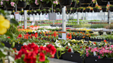 Lynde Greenhouse & Nursery is making a comeback after arson attack, with the help of Highland Bank and the community - Minneapolis / St. Paul Business Journal