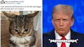 18 Adorable Photos To Smooth Your Brain Over After The Presidential Debate