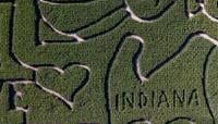 County Line Orchard's Caitlin Clark corn maze grabs national media attention