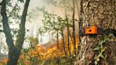 Students develop revolutionary system to detect wildfires before they spread: 'We can feed that data to the authorities and they can fight fire more efficiently'