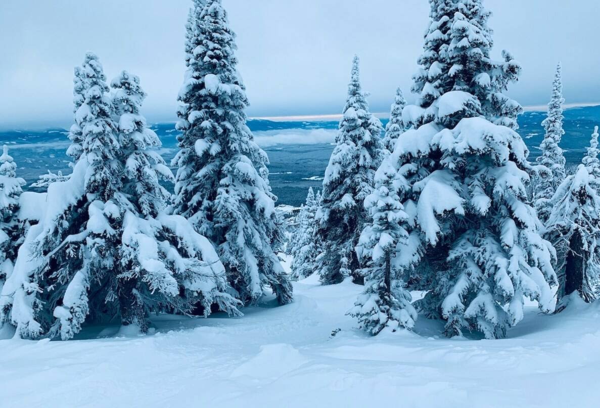 MELTDOWN: Low West Kootenay snowpack threatens drinking water drawn from creeks