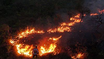 Los incendios de este año en Brasil han afectado directamente a 18,9 millones de personas