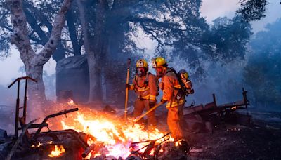 Lightning and a burning car pushed into a gully are blamed for wildfires scorching the West Los Angeles | World News - The Indian Express