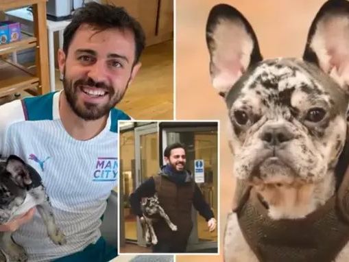 Did you know? Bernardo Silva's dog is named after City teammate John Stones