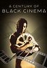 A Century of Black Cinema (2003) Movie - hoopla