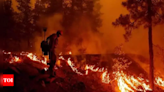 Firefighters struggle as they battle to contain wildfires across US West - Times of India