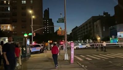 NYPD: Niña de tres años muere atropellada por un auto en Harlem