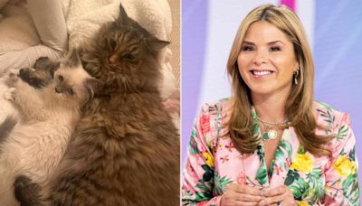 Jenna Bush Hager Says Her 2 Cats Are Getting Married This Weekend: ‘We’re Having a Ceremony’