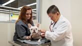 Petco expanding vet ultrasound services with Butterfly partnership