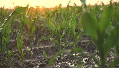 Frente fria chega ao Sul com possibilidade de avançar para Centro-Oeste | Agro Estadão