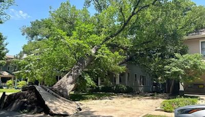 Dallas residents dealing with trees on houses and a lot of storm debris cleanup