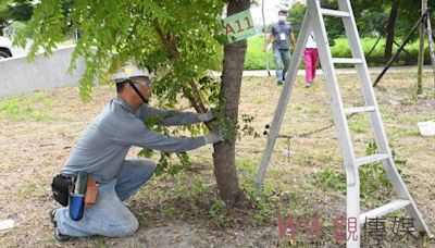 不再亂剃頭！彰化縣景觀樹木修剪技術認證 培訓120名專業人才