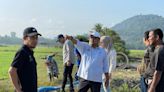 Report: Kelantan loses nearly 8,000 acres of paddy fields to heatwave