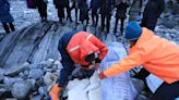 Rarely seen shark — over 100 years old — washes ashore in Greenland, scientists say