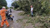 Fuerte tormenta afectó a municipio del Tolima: se registraron daños en viviendas y vías | El Nuevo Día