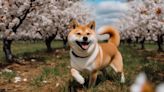 Shiba Inu’s (SHIB) newest magazine ignites optimism with crucial highlights | Invezz