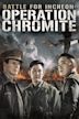 Operation Chromite (film)