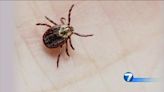 Increase in tick populations expected to have long-term impact on Ohio’s tick season