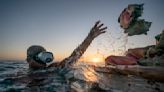 Bahamas: Vistazo a la sobrepesca del caracol rosado