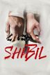 Shibil