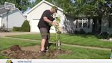 Ely replacing tree canopy following derecho and Emerald Ash Borer