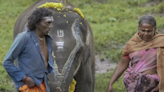‘The Elephant Whisperers’ couple that inspired Oscar-winning documentary allege exploitation by filmmakers