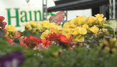 Gardeners impacted by wet, chilly weather in Burlington County "It's been awful actually"