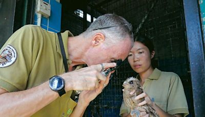 拯救野生動物 人類「溫柔」成野放大敵 - 20240907 - 副刊