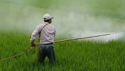 Agri experts calls for direct transfer of fertiliser subsidy