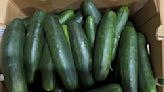 Salmonella outbreak may be linked to recalled cucumbers, CDC says - The Republic News