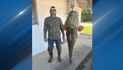 Oklahoma fisherman catches 95lb flathead catfish, largest ever at Pine Creek Reservoir