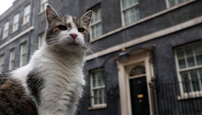 Larry, gato que mora em Downing Street, recebe o sexto primeiro-ministro