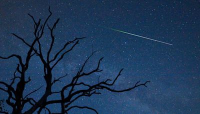 Where To See The Perseid Meteor Shower: Special Events Across The U.S.