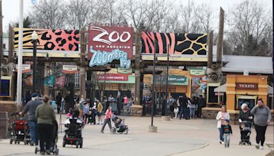 Past purchasing director joins trio of Columbus zoo executives facing felonies