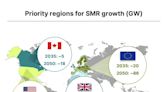 Nuclear Supply Chain for the BWRX-300 SMR Takes Shape