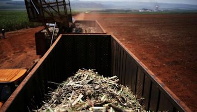 Tereos vê sua moagem estável em 24/25 apesar de degradação da cana do centro-sul pela seca Por Reuters