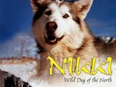 Nikki: Wild Dog of the North